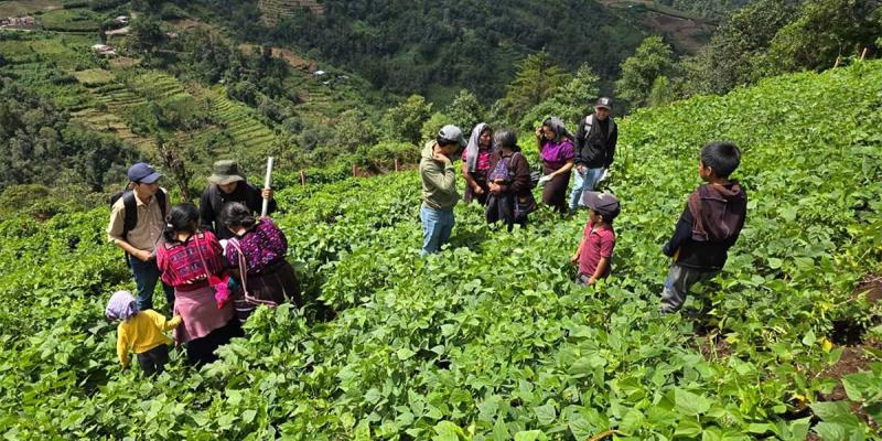 La voz del agricultor como eje de la innovación