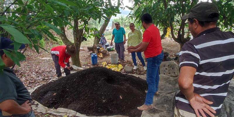 Abono Bocashi: fertilidad para los cultivos y ahorro para los productores 