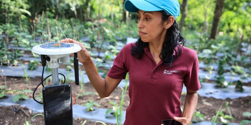 Agricultura digital impulsa la productividad y sostenibilidad de los cultivos en Guatemala
