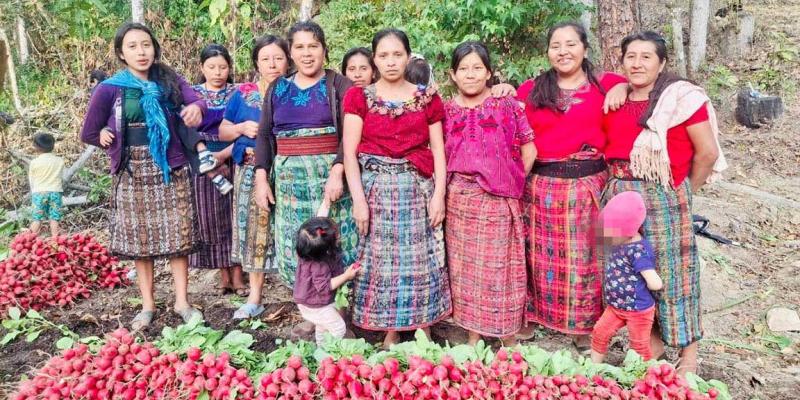 Cosechas de huertos familiares fortalecen seguridad alimentaria en Baja Verapaz 