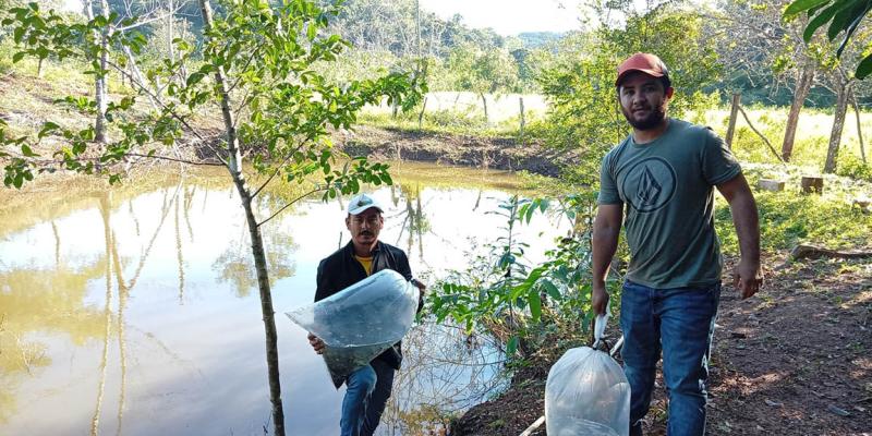 Entrega de alevines impulsan producción acuícola en Petén