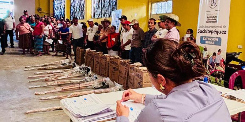 Familias agricultoras reciben apoyo para producir sus propios alimentos
