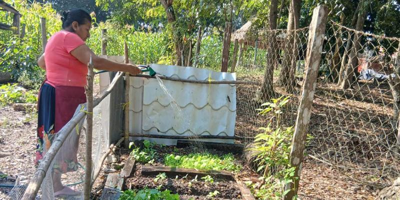 Familias rurales reciben asistencia para mejorar sus cultivos de alevines