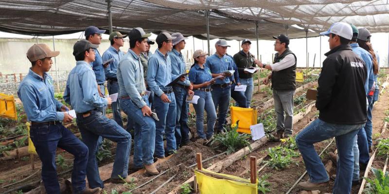 Fortalecen formación de estudiantes para el desarrollo de los sectores forestal y agrícola