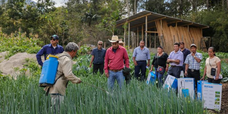 Fortalecen producción con equipo y capacitación para 150 agricultores en Palencia
