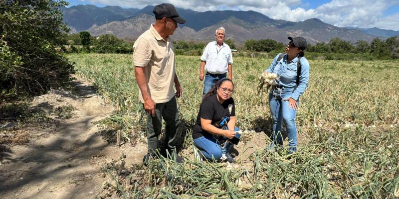 Impulsan el desarrollo rural con asistencia para agricultores de Chispan