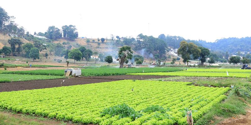 Inicia semana de frío intenso y fuertes vientos