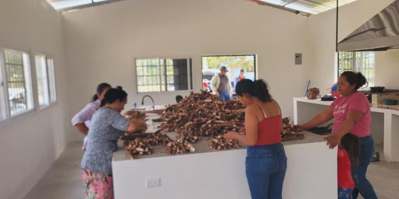 Mujeres impulsan emprendimiento con producción de yuca