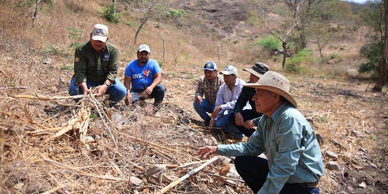 Productores fortalecen prácticas agrícolas para enfrentar el cambio climático