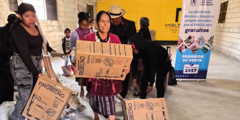 Sistema Patio impulsa huertos familiares en San Marcos y Quiché