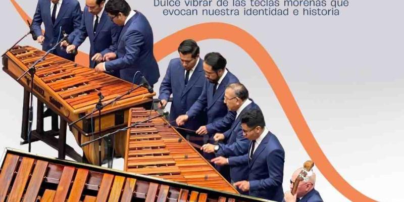 Celebramos los latidos de hormigo