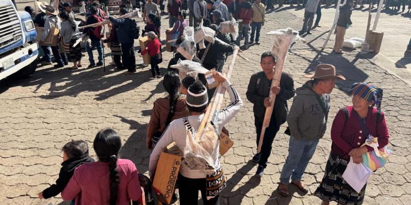 De patio vacío a mesa con comida: familias siembran futuro en casa