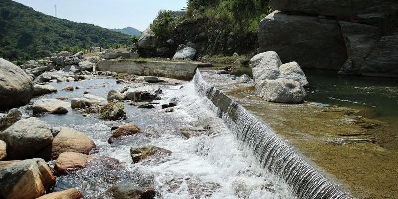 Impulsan acciones para la protección del agua y la restauración de cuencas