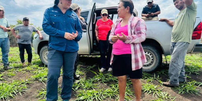 Agricultura regenerativa avanza en la restauración de tierras en Petén