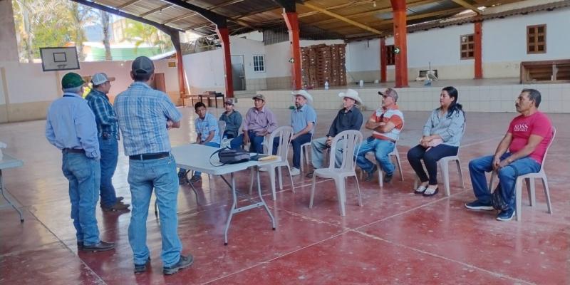 Promotores agrícolas y técnicos AMER coordinan estrategia para ciclo de granos básicos