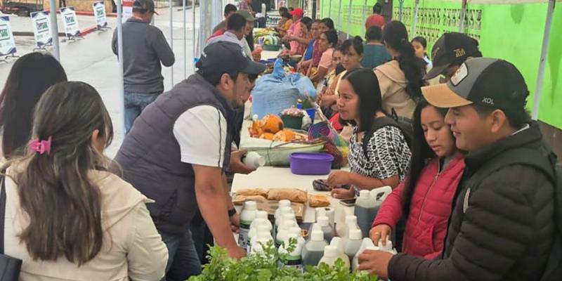 Feria del Agricultor en Alta Verapaz impulsa hortalizas de calidad