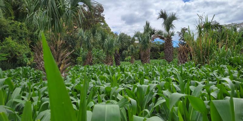 Brindan asistencia técnica y capacitación en manejo de riego