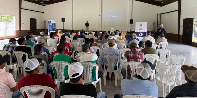 Capacitan a productores en Izabal para prevenir y controlar el Gusano Barrenador