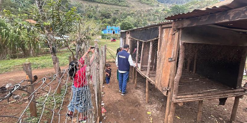 Comunidades impulsan proyectos productivos para fortalecer su desarrollo local