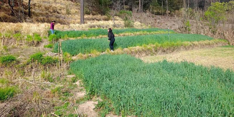 Continúan las variaciones climáticas y posible frente frío para esta semana