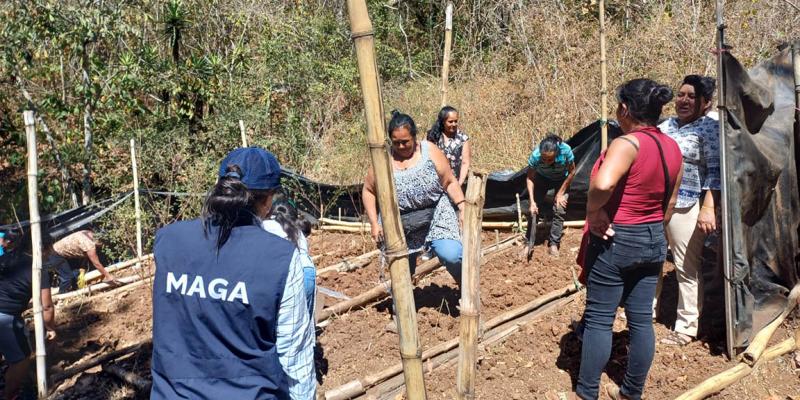 Cuando la comunidad se organiza, el alimento se multiplica