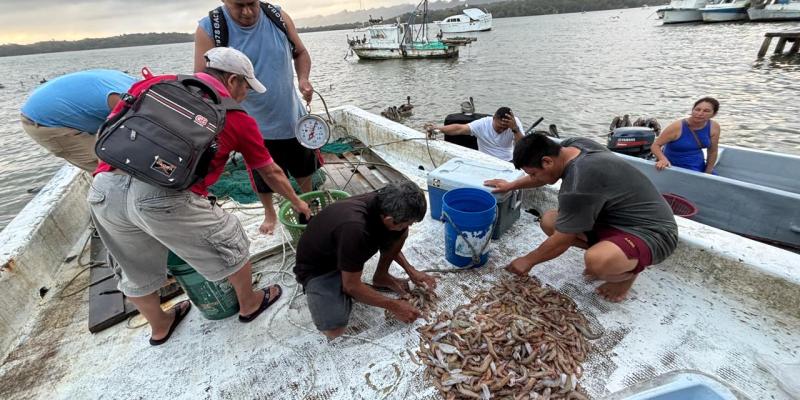 Decretan veda pesquera en el Caribe para proteger especies marinas y continentales