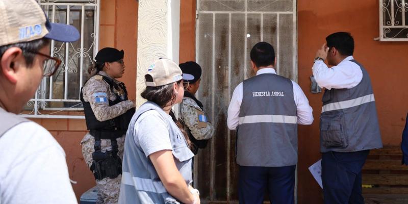 Denuncias con evidencia facilitan la atención de casos de maltrato animal
