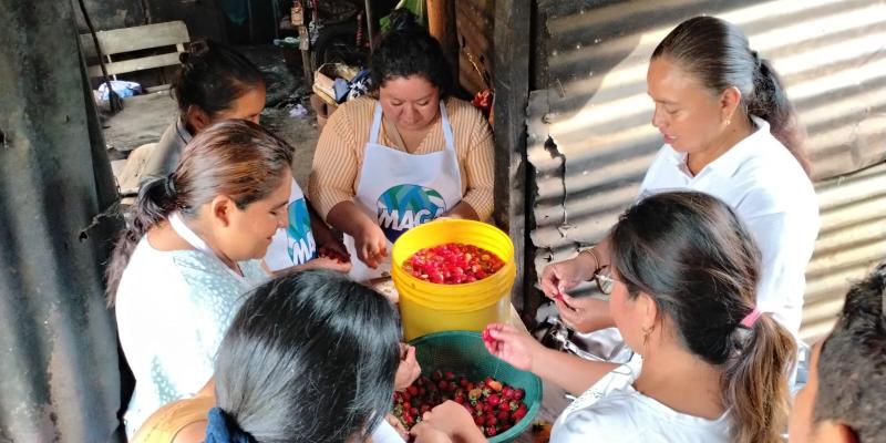 Familias de Escuintla aprenden técnicas de conservación y emprendimiento