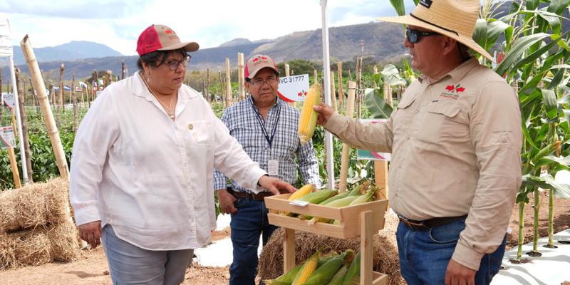 Finca experimental muestra avances en semillas mejoradas para hortalizas y frutas