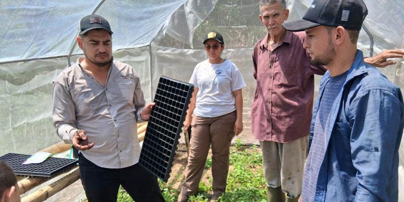 Fortalecen el agro en el oriente con el uso de macrotúneles y pilones