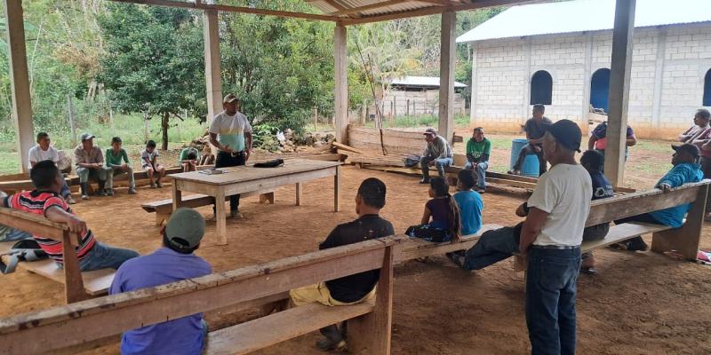 Fortalecen prácticas agroforestales para mejorar la cobertura del suelo