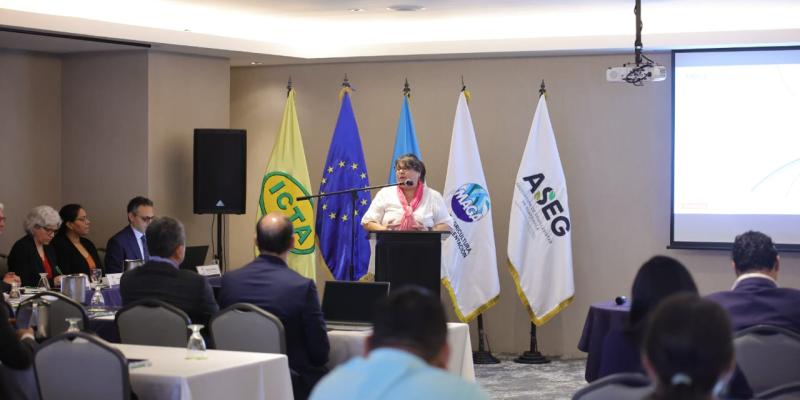 Guatemala sede de taller en el que el analizarán sistema de protección de obtenciones vegetales