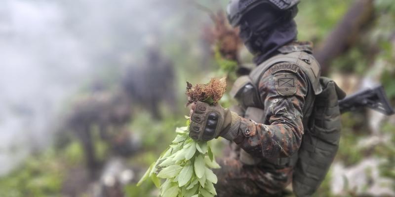 Ejército de Guatemala realiza Operaciones contra el Crimen Organizado Transnacional en San Marcos, Alta Verapaz y Petén.