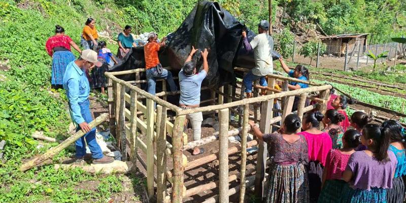 Implementan sistema de riego por goteo en Alta Verapaz