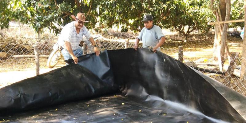Impulsan en Zacapa la producción de peces con tecnología de geomembranas