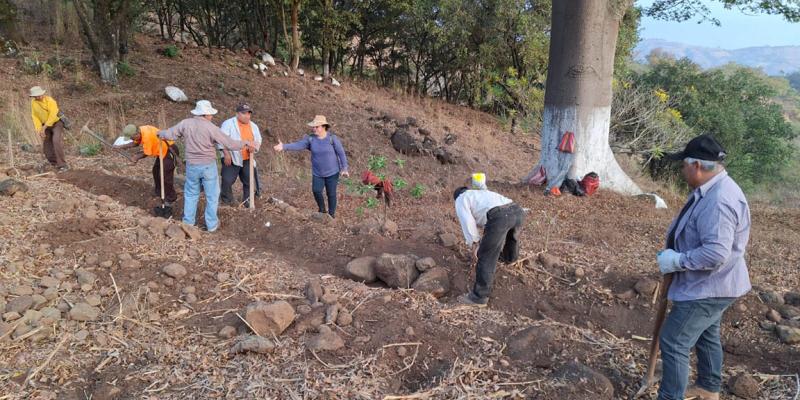 Impulsan la conservación de suelos en San Pedro Ayampuc