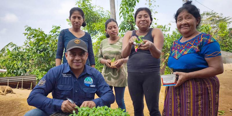 Impulsan la economía familiar en Quetzaltenango mediante la entrega de material vegetativo
