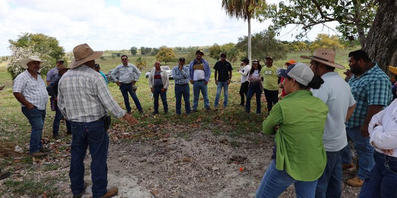 Intercambio de experiencias fortalece la ganadería en finca La Fe