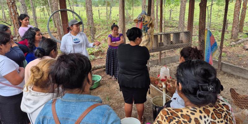 Intercambio de experiencias impulsa producción sostenible en Poptún