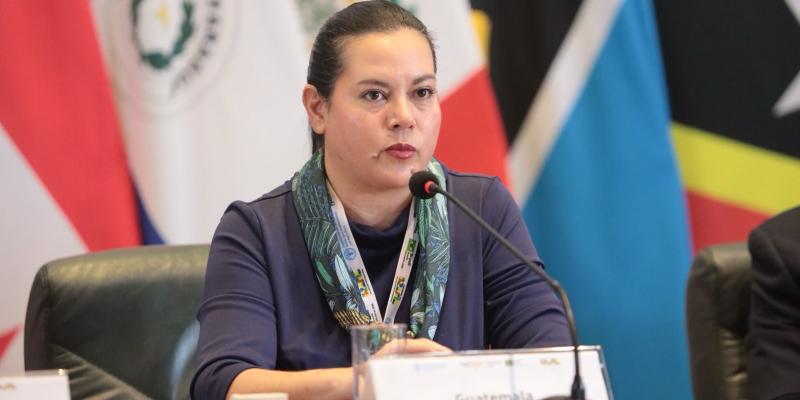 Lanzan en el Año Internacional de la Agricultora en la región de América Latina y el Caribe