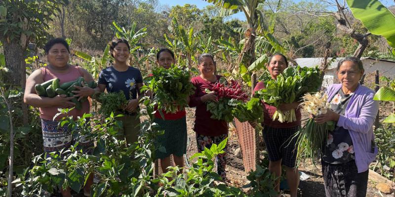 Los CADER de Chiquimula optimizan la economía local con venta de hortalizas
