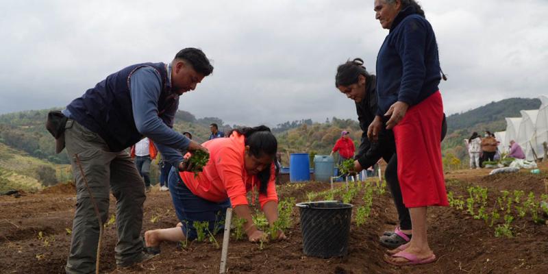 Mujeres de Zaragoza transforman su realidad gracias al huerto comunitario