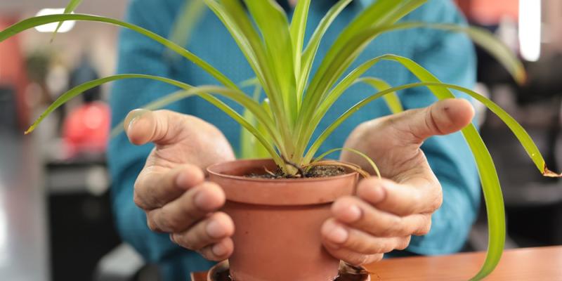 Guatemala integra el ambiente en su política fiscal con nueva dependencia