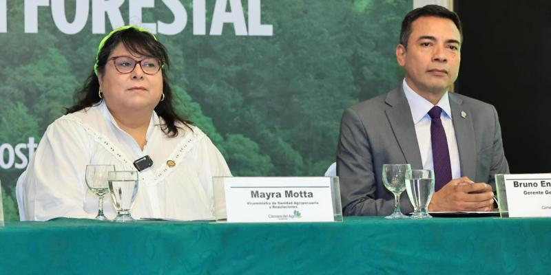 Presentan estrategia de gestión forestal para fortalecer sostenibilidad del sector agro