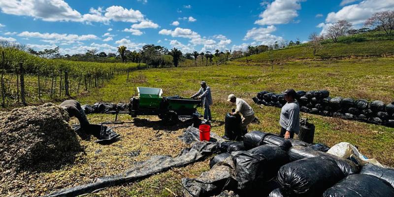Productor transforma su finca gracias al modelo de ganadería sostenible