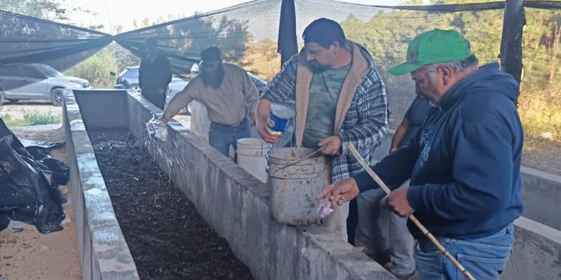 Productores de Chimaltenango fortalecen la fertilidad de sus cultivos con abono orgánico