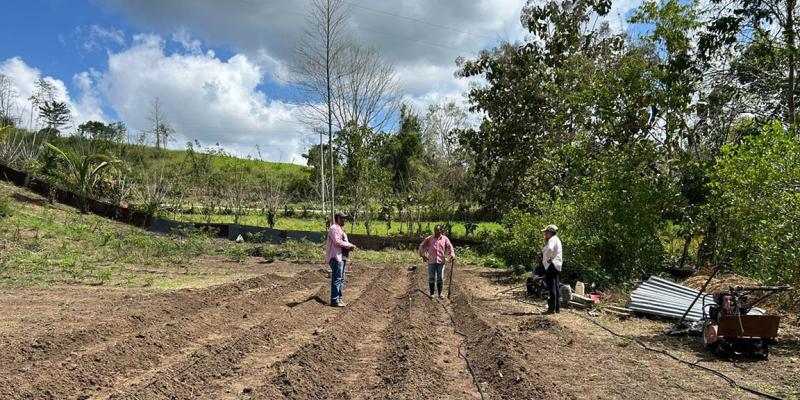 Recomendaciones ante riesgos agroclimáticos