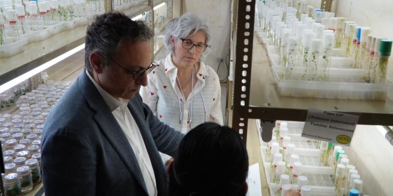 Resaltan el trabajo del ICTA y la protección de semillas para fortalecer el agro