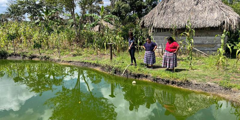 Se impulsan acciones para mejorar manejo de estanques y fortalecer la producción acuícola