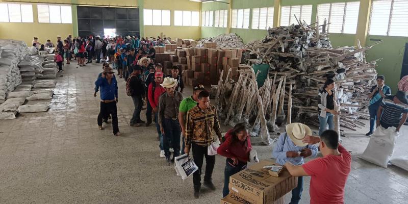 Sembrar en casa para alimentar a la familia